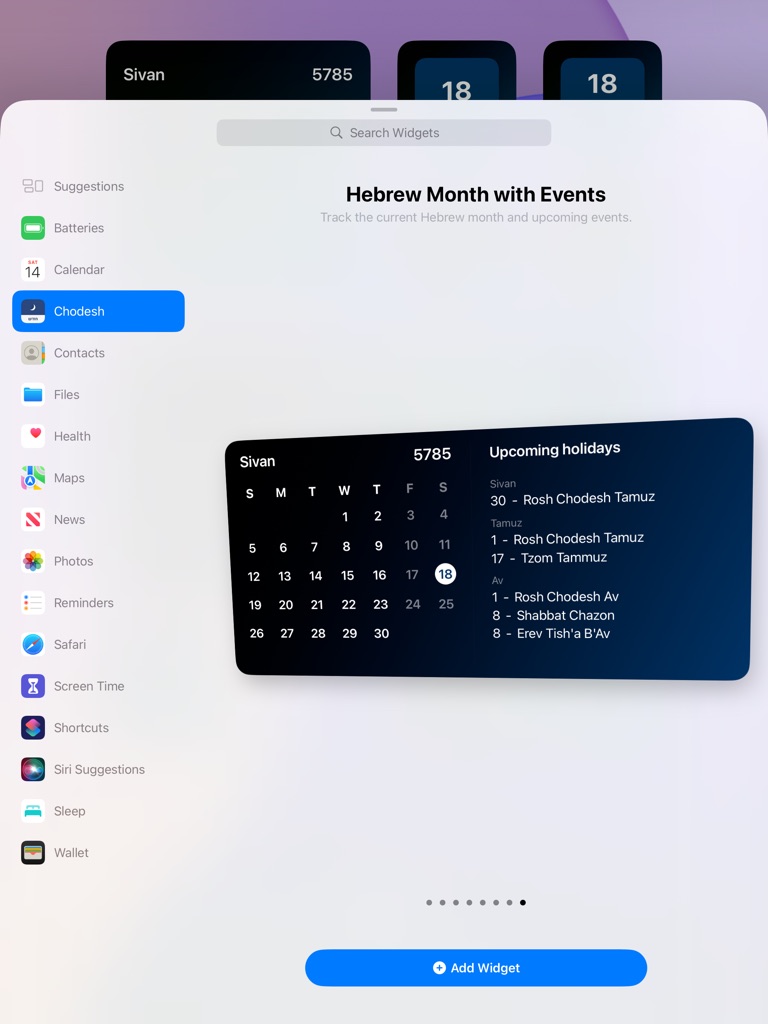 iPad screenshot