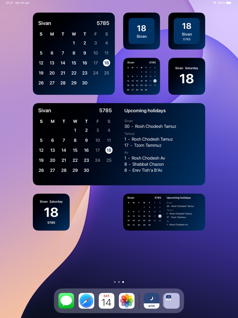 iPad screenshot