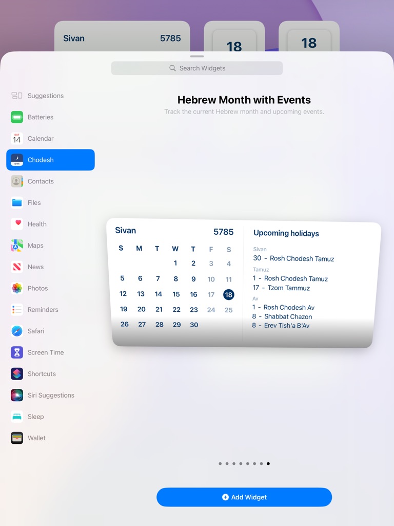 iPad screenshot